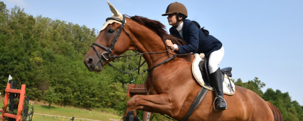 Equitation