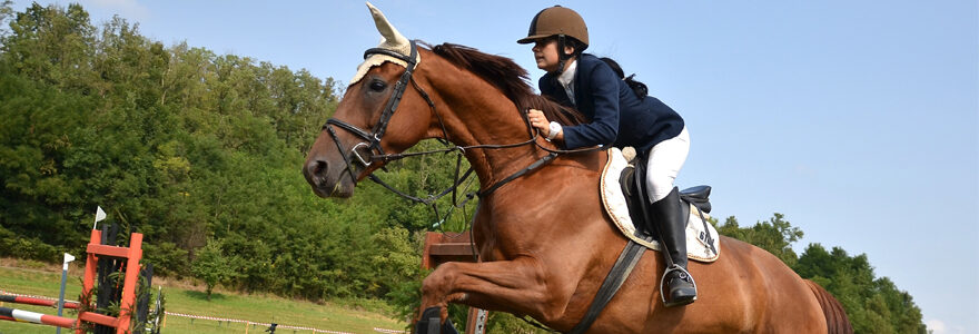 Equitation